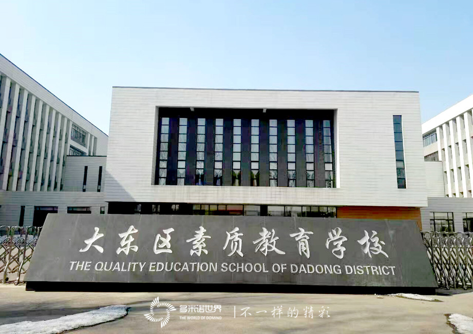 大東區素質教育學校多米諾訓練營開課